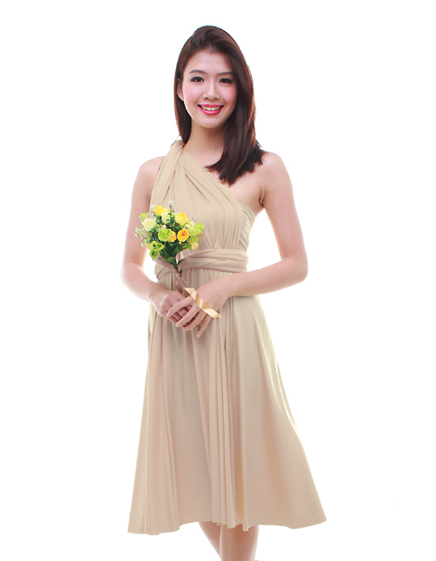 Cherie Convertible Classic Dress in Champagne